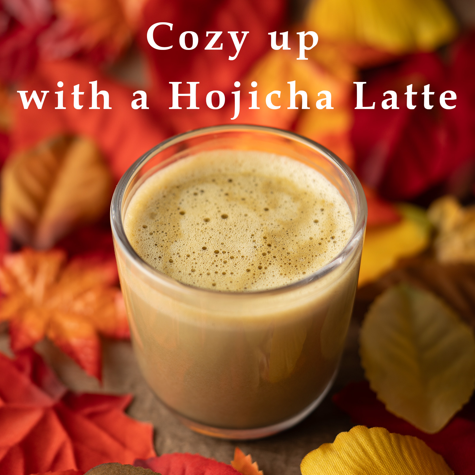 FUJITA-CHAEN 2025-11-21-2