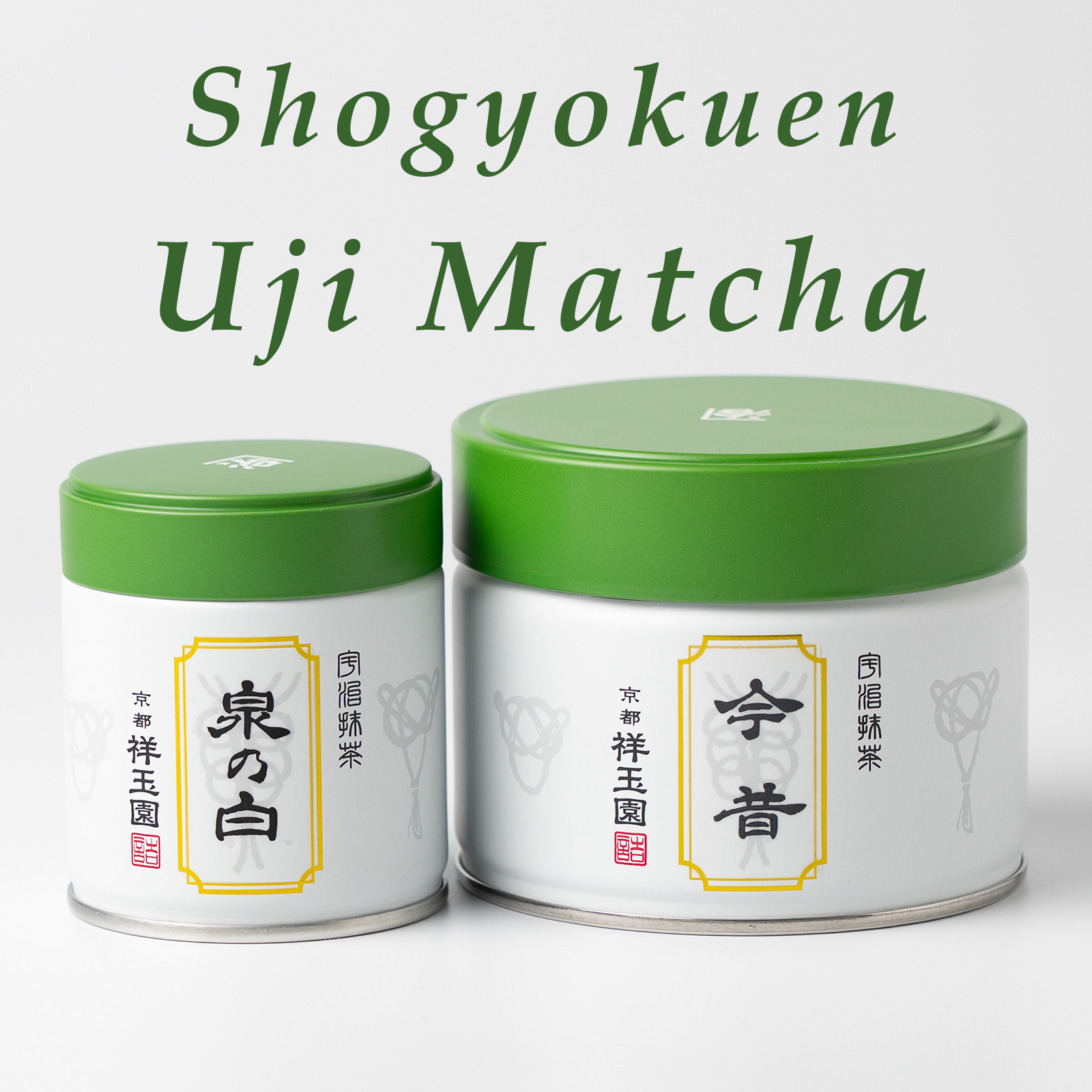 FUJITA-CHAEN 2025-11-21-3