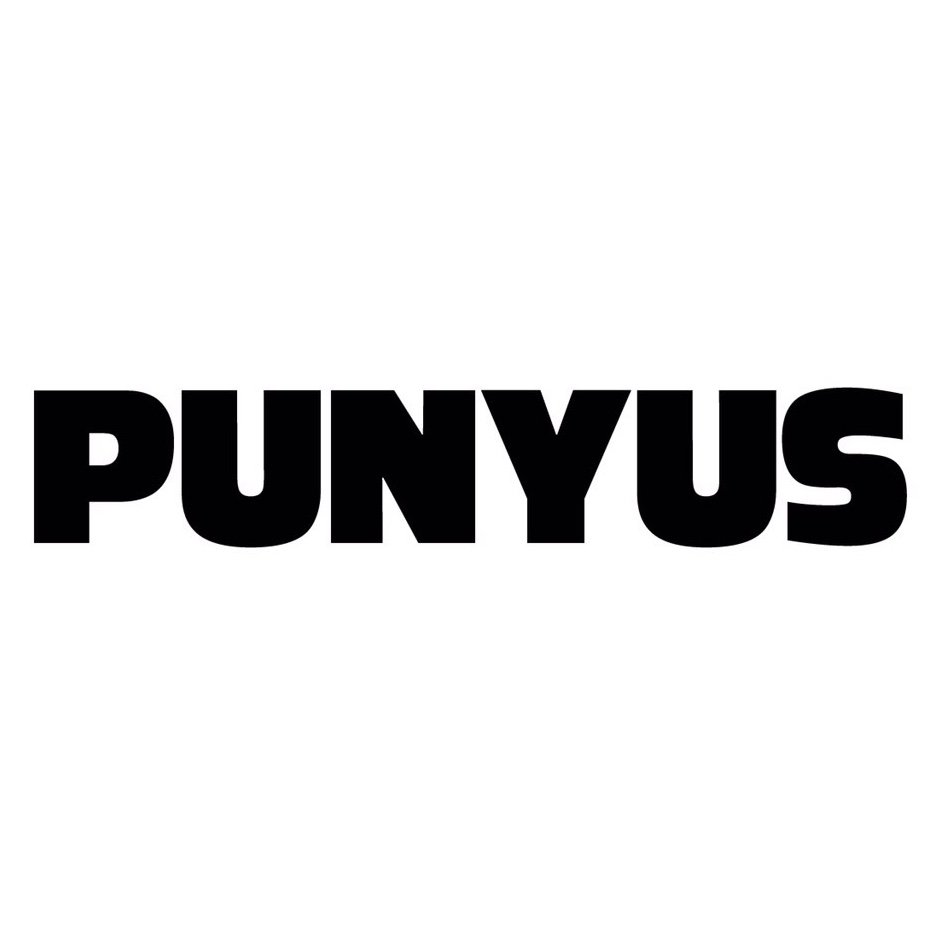 PUNYUS