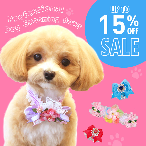 FUKUWA-RIBBON 2026-02-05