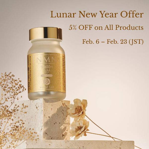 MIRAI LAB 2026-02-06